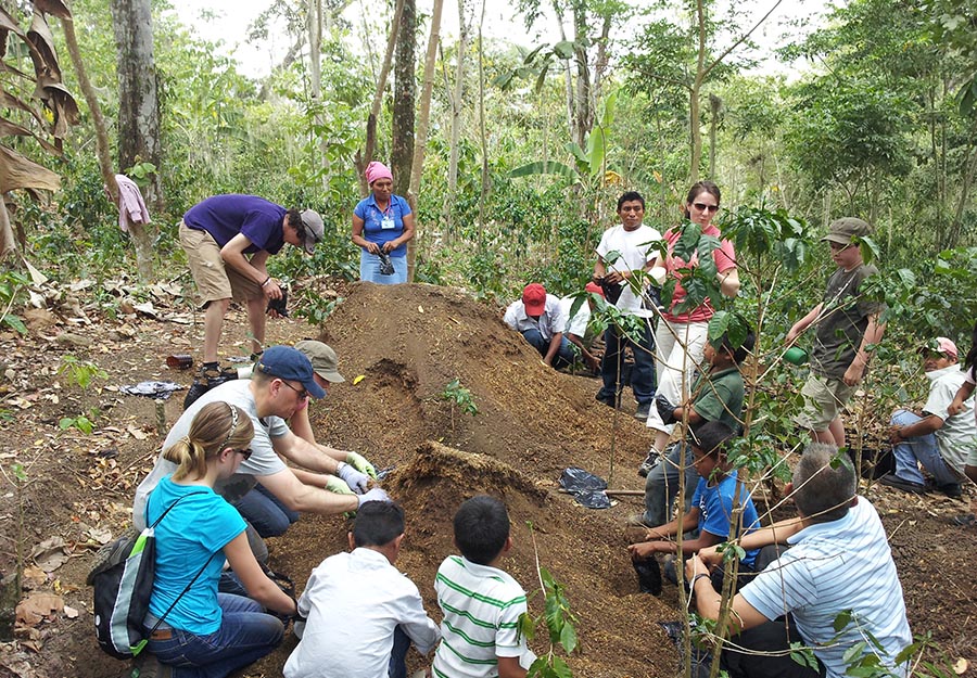 ELM attorneys, their families, and members of Agroaldea San José pack seedlings of a fungus-resistant breed of coffee into containers for shipping.