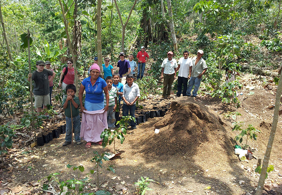 ELM attorneys, their families, and San José villagers pose for a picture after packing the seedlings of coffee plants into containers for shipping.